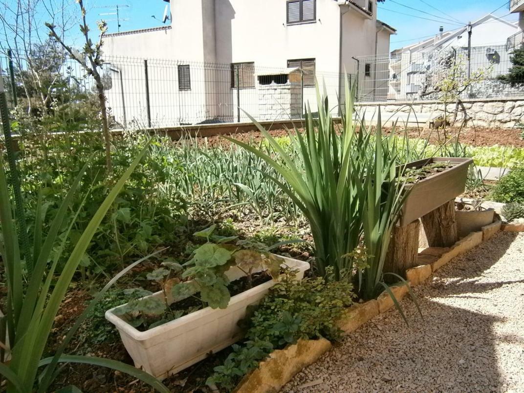 Apartman Šibenik Eksteriør billede